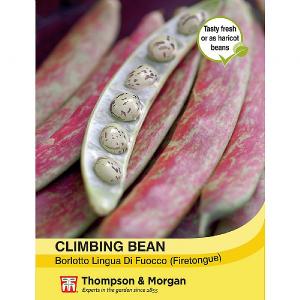 Thompson & Morgan Climbing Bean Borlotto Lingua (Firetongue) Seeds