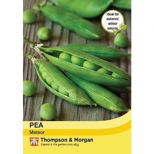 Thompson & Morgan Pea Meteor Seeds