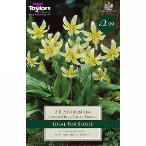 Erythronium Pagoda (3 Bulbs)