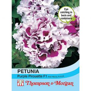 Petunia Purple Pirouette F1 Hybrid