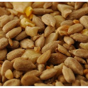 Hi Energy No Mess Wild Bird Food - 3L