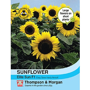 Sunflower Elite Sun F1 - 25 Seeds