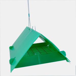 Apple Maggot Moth Trap