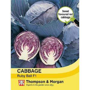 Thompson & Morgan Cabbage Ruby Ball F1 Hybrid