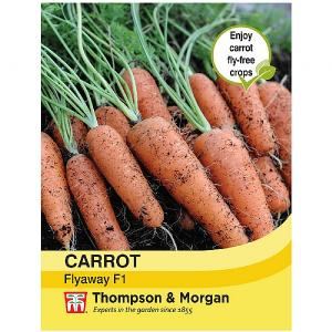 Thompson & Morgan Carrot Fly Away F1 Hybrid Seeds