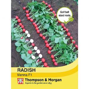 Thompson & Morgan Radish Vienna F1 Hybrid