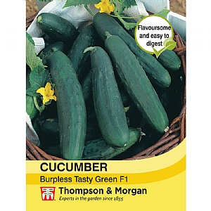 Cucumber Burpless Tasty Green - 10 Seeds