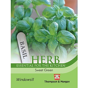 Herb Basil Sweet Green - 400 Seeds