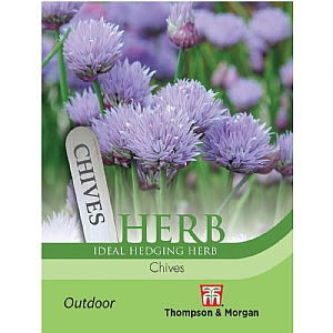 Herb Chives - 1000 Seeds