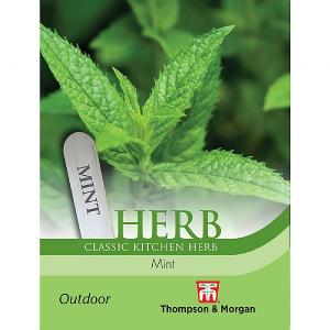 Thompson & Morgan Herb Mint (Peppermint) Seeds