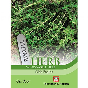 Herb Olde English Thyme - 500 Seeds