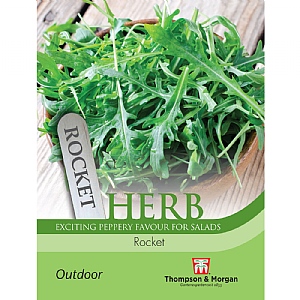 Herb Rocket - 500 Seeds