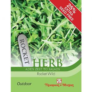 Thompson & Morgan Herb Rocket Wild Seeds