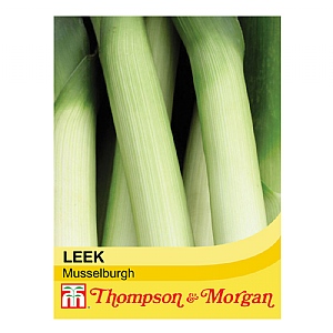 Leek Musselburgh - 350 Seeds