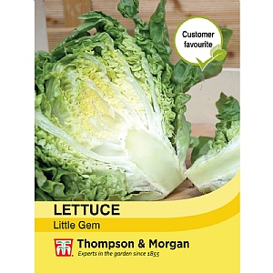 Lettuce Little Gem - 1250 Seeds