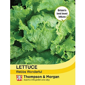 Lettuce Webbs Wonderful - 1500 Seeds