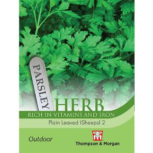 Thompson & Morgan Herb Parsley Plain Leaved (Sheeps) 2 Seeds