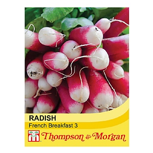 Radish French Breakfast - 1000 Seeds