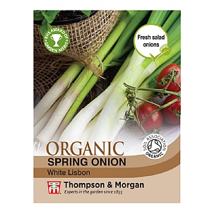 Spring Onion White Lisbon - 500 Seeds