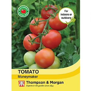 Tomato Moneymaker - Packet of 75 Seeds