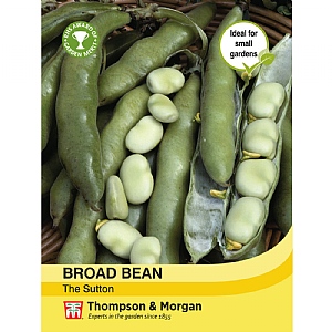 Broad Bean The Sutton Seeds