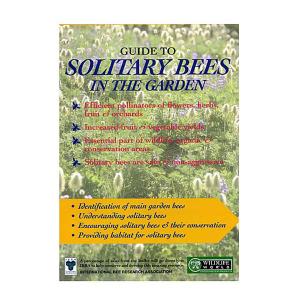 Guide Solitary Bees in the Garden