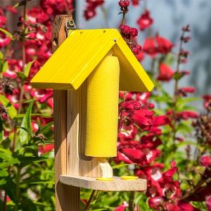 Wildlife World Butterfly & Bee Nectar Feeder