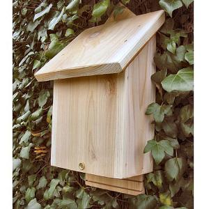 Wildlife World Chavenage Large Bat Box