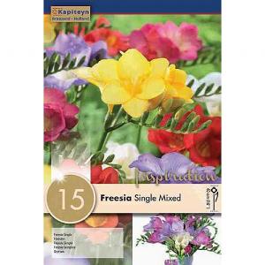 Freesia Single Mixed (15 Bulbs)
