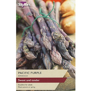 Asparagus Pacific Purple (2 Crowns)