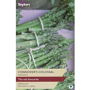 Asparagus Connover's Colossal (3 Crowns)