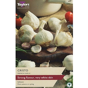 Garlic Cristo (3 Bulbs)