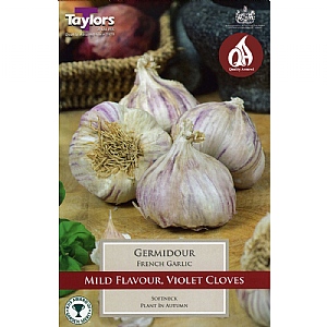 French Garlic Germidour (3 Bulbs)