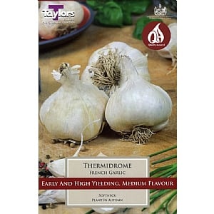 French Garlic Thermidrome (3 Bulbs)