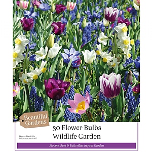 Hyacinths Mixed Colours - (10 Bulbs)