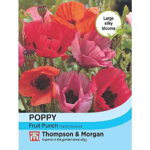 Thompson & Morgan Poppy Fruit Punch