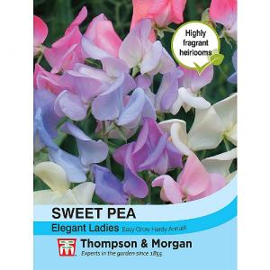 Thompson & Morgan Sweet Pea Elegant Ladies