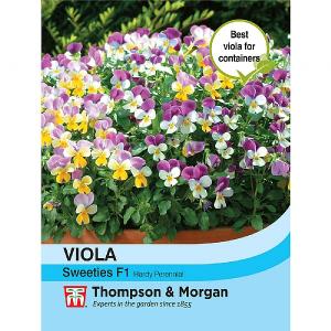 Thompson & Morgan Viola Sweeties