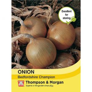 Thompson & Morgan Onion Bedfordshire Champion