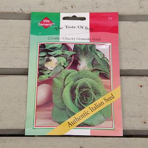 Thompson & Morgan The Taste of Italy Cicoria Grumolo Verde