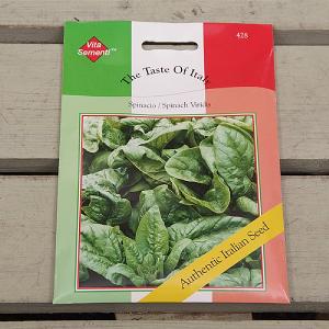 Thompson & Morgan The Taste of Italy Spinach Spinacio Viridis Olter (Merlo Nero)