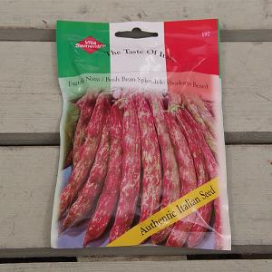 Thompson & Morgan The Taste of Italy Bush Bean Splendido Red
