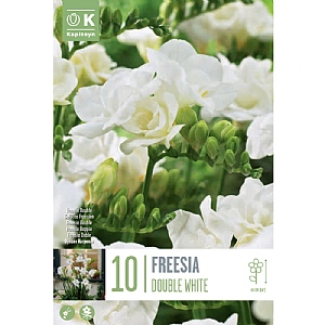 Freesia 'Double White' (10 Bulbs)