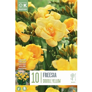 Freesia Double Yellow (10 Bulbs)