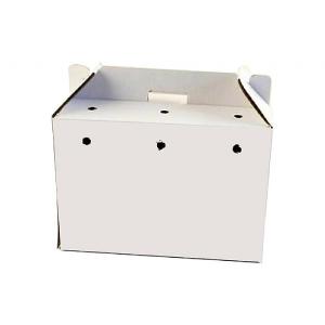 PPI Cardboard Animal Carriers - Large