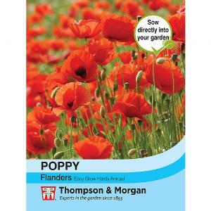 Thompson & Morgan Poppy Flanders