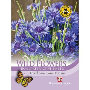 Thompson & Morgan Wild Flower Cornflower Blue Diadem
