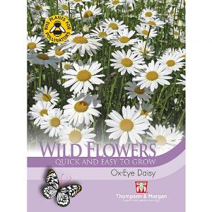 Thompson & Morgan Wild Flower Oxeye Daisy