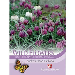 Thompson & Morgan Wild Flower Snakes Head Fritillaria