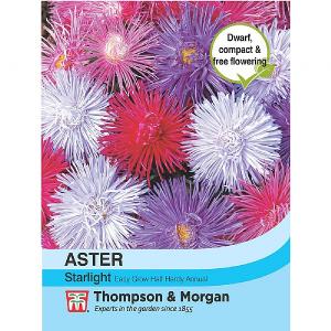 Thompson & Morgan Aster Starlight Mixed